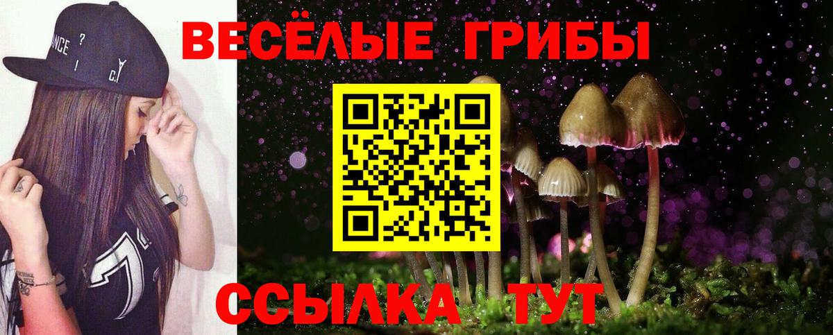 Хасавюрт  Псилоцибиновые грибы Magic Shrooms  Вход с VPN 